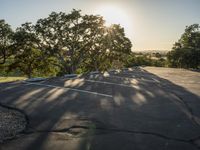 trees are growing out from an empty parking lot near a tree filled hill with rock formations