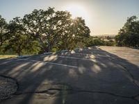 trees are growing out from an empty parking lot near a tree filled hill with rock formations