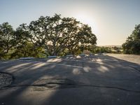 trees are growing out from an empty parking lot near a tree filled hill with rock formations