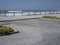 an empty parking lot next to the ocean with several flowers in front of it and a bench overlooking the ocean