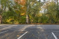 an empty parking lot near a row of trees on a fall day in ontario with orange and yellow leaves