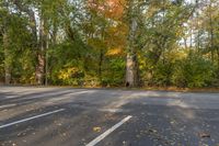 an empty parking lot near a row of trees on a fall day in ontario with orange and yellow leaves