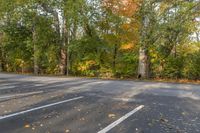 an empty parking lot near a row of trees on a fall day in ontario with orange and yellow leaves