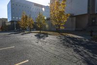 this is an empty parking lot with trees in front of a building and one street