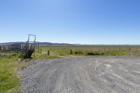 an empty parking lot with many cattle in the background with mountains in the distance at this ranch