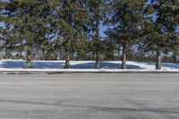 the empty parking lot at a large tree covered area with snow on the ground and yellow paint on the side