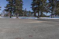 the empty parking lot at a large tree covered area with snow on the ground and yellow paint on the side