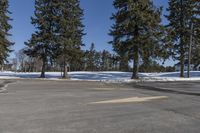 the empty parking lot at a large tree covered area with snow on the ground and yellow paint on the side