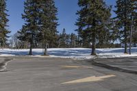 the empty parking lot at a large tree covered area with snow on the ground and yellow paint on the side