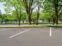 an empty parking lot surrounded by trees on a sunny day or day with the sunlight shining down