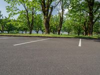 an empty parking lot surrounded by trees on a sunny day or day with the sunlight shining down