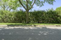 a parking lot is empty, there are trees and bushes all around the area for shade