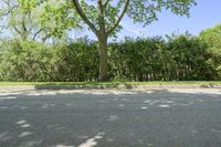 a parking lot is empty, there are trees and bushes all around the area for shade