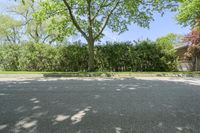 a parking lot is empty, there are trees and bushes all around the area for shade