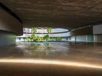 an empty parking space is shown with palm trees in the foreground and a concrete slab around