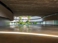 an empty parking space is shown with palm trees in the foreground and a concrete slab around