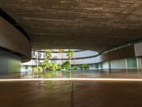 an empty parking space is shown with palm trees in the foreground and a concrete slab around