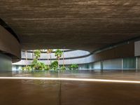 an empty parking space is shown with palm trees in the foreground and a concrete slab around