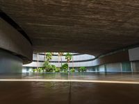 an empty parking space is shown with palm trees in the foreground and a concrete slab around