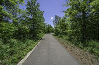 the paved bike trail is empty and ready for pedestrians to follow it in a wooded area