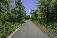 the paved bike trail is empty and ready for pedestrians to follow it in a wooded area