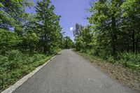 the paved bike trail is empty and ready for pedestrians to follow it in a wooded area