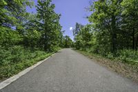 the paved bike trail is empty and ready for pedestrians to follow it in a wooded area