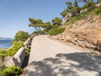 an empty paved road near the ocean on a sunny day with the blue sky and trees