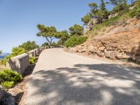 an empty paved road near the ocean on a sunny day with the blue sky and trees