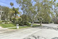 this street with trees along side is empty, surrounded by grass and some shrubbery