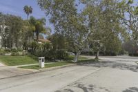 this street with trees along side is empty, surrounded by grass and some shrubbery