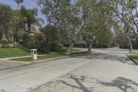 this street with trees along side is empty, surrounded by grass and some shrubbery