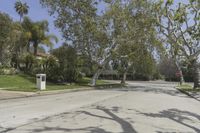 this street with trees along side is empty, surrounded by grass and some shrubbery