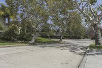 this street with trees along side is empty, surrounded by grass and some shrubbery