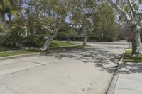 this street with trees along side is empty, surrounded by grass and some shrubbery