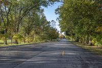 an empty street lined with tall trees in a parkland area area in the fall