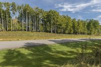 an empty road and grassy field with trees in the background that appear to be in an area outside a fenced area