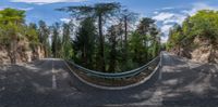 a wide angle photo shows an empty road with trees on both sides of the street