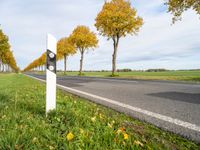 two white posts with a stop light on them near an empty road and a few yellow trees