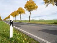 two white posts with a stop light on them near an empty road and a few yellow trees