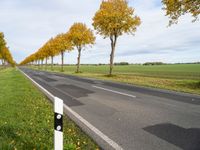 two white posts with a stop light on them near an empty road and a few yellow trees