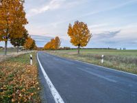 an empty road with trees and orange leaves near it in autumn on an unpaved day