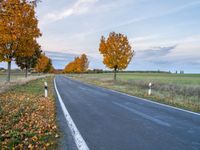 an empty road with trees and orange leaves near it in autumn on an unpaved day