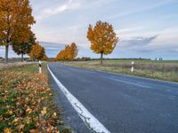 an empty road with trees and orange leaves near it in autumn on an unpaved day