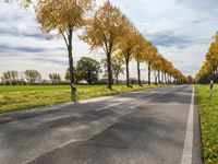 an empty road and the sun reflects the trees along with grass in the foreground