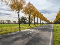 an empty road and the sun reflects the trees along with grass in the foreground