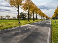 an empty road and the sun reflects the trees along with grass in the foreground