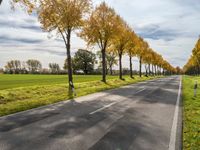 an empty road and the sun reflects the trees along with grass in the foreground