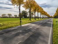 an empty road and the sun reflects the trees along with grass in the foreground