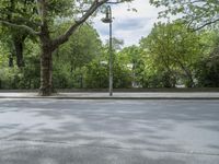 the street is empty with trees and grass near it and a lamp post, metal railings, and white sky